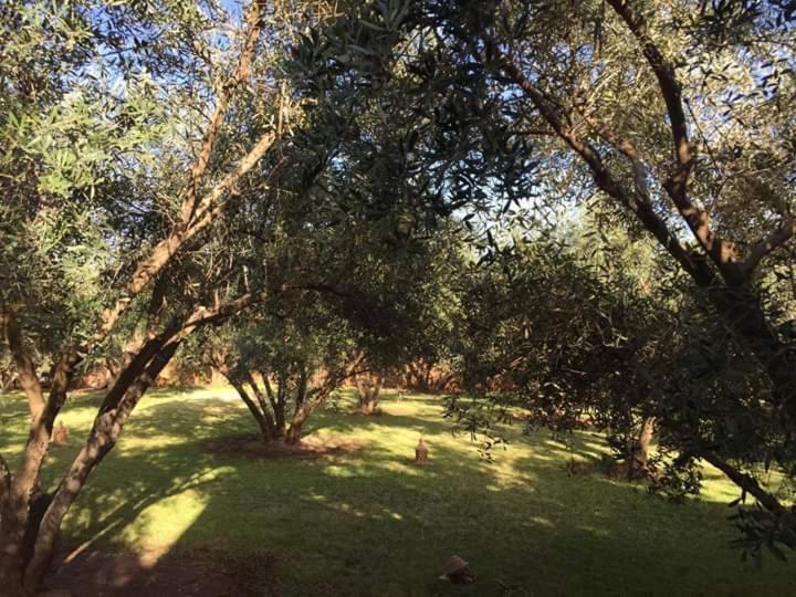 Riad Sidi Hicham Ouled Bouzid Zewnętrze zdjęcie